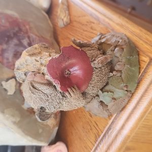 Chipmunk 🐿 Eating an Apple 🍎 Figurine 3.25x3" EUC